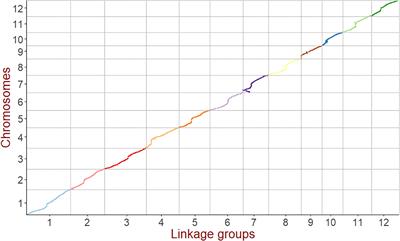 Integrating linkage mapping and comparative transcriptome analysis for discovering candidate genes associated with salt tolerance in rice